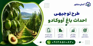 طرح احداث باغ آووکادو