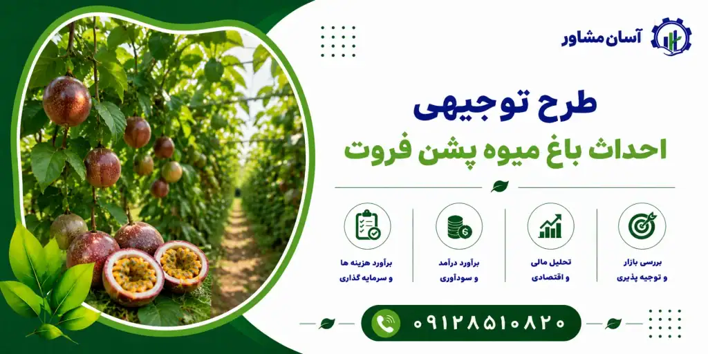 طرح احداث باغ میوه پشن فروت