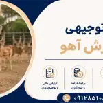 طرح پرورش آهو