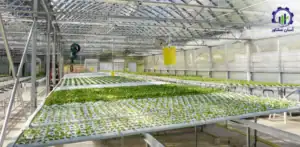 بررسی بازار داخلی و خارجی احداث گلخانه