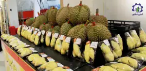 بررسی بازار داخلی و خارجی خرید میوه دوریان