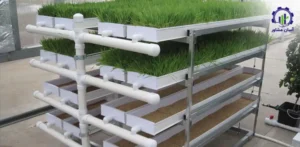 بررسی بازار داخلی و خارجی طرح تولید علوفه هیدروپونیک