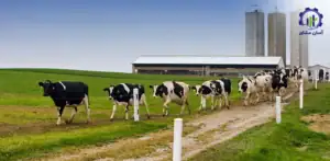 بررسی بازار داخلی و خارجی پرورش گاو شیری