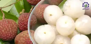 بررسی بازار داخلی و خارجی کاشت میوه لیچی