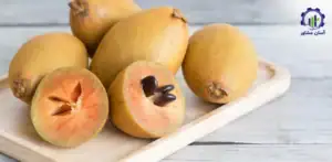 بررسی بازار داخلی و خارجی کاشت میوه چیکو