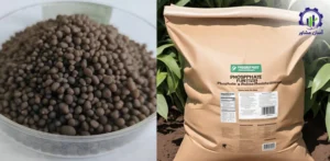 بررسی بازار داخلی و خارجی کود فسفات