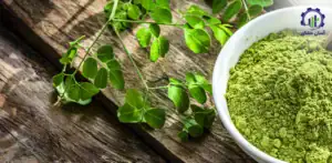 بررسی بازار داخلی و خارجی گز روغنی