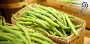 بررسی بازار داخلی و خارجی گیاه لوبیا