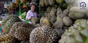 بررسی تجهیزات و تأسیسات احداث باغ میوه دوریان