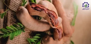 بررسی تجهیزات و تأسیسات احداث فارم کاشت درخت تمر هندی