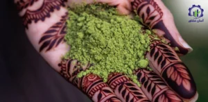 بررسی تجهیزات و تأسیسات احداث فارم کشت درخت حنا