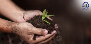 بررسی فرآیند پرورش درخت کبوده