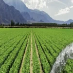 راهکار های کاهش انرژی در بخش کشاورزی