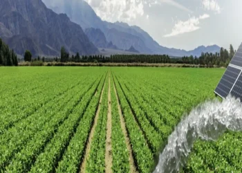 راهکارهای کاهش انرژی در بخش کشاورزی