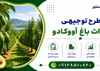 طرح احداث باغ آووکادو