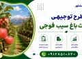 طرح احداث باغ سیب فوجی