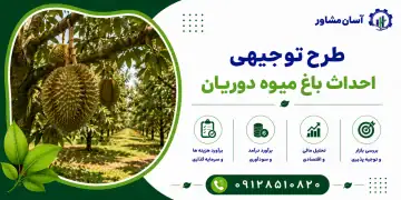 طرح احداث باغ میوه دوریان