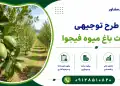 طرح احداث باغ میوه فیجوا