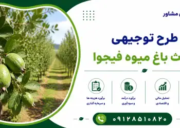 طرح احداث باغ میوه فیجوا
