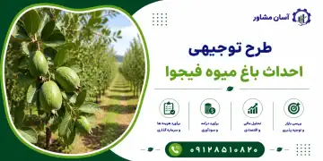 طرح احداث باغ میوه فیجوا