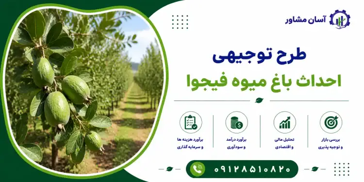 طرح احداث باغ میوه فیجوا