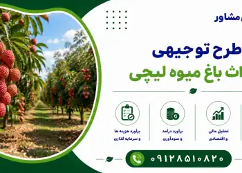 طرح احداث باغ میوه لیچی