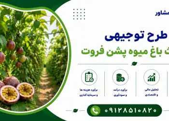 طرح احداث باغ میوه پشن فروت