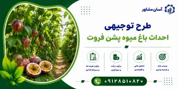 طرح احداث باغ میوه پشن فروت