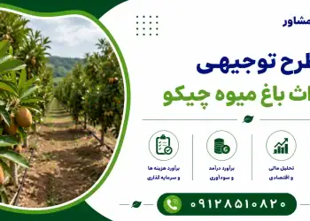 طرح احداث باغ میوه چیکو