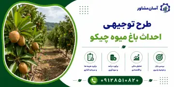 طرح احداث باغ میوه چیکو