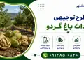 طرح احداث باغ گردو