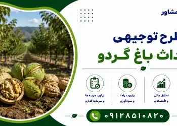 طرح احداث باغ گردو