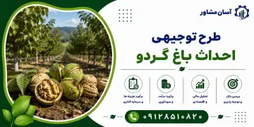 طرح احداث باغ گردو