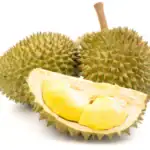 طرح توجیهی احداث باغ میوه دوریان