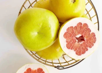 طرح احداث باغ میوه پوملو