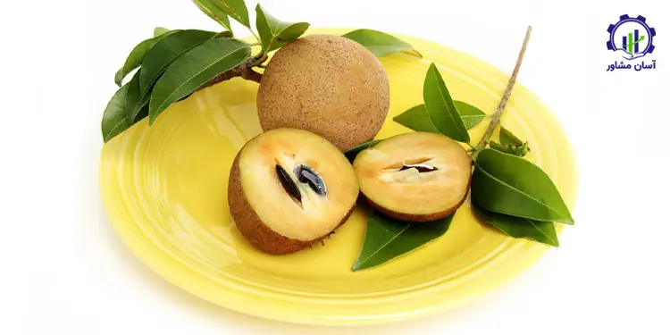 طرح توجیهی احداث باغ میوه چیکو