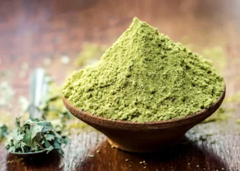 طرح توجیهی احداث فارم کاشت درخت حنا