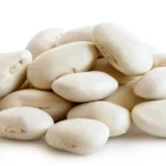 طرح توجیهی احداث فارم کشت لوبیا سفید