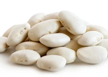 طرح توجیهی احداث فارم کشت لوبیا سفید