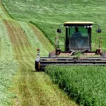 طرح توجیهی احداث فارم کشت یونجه