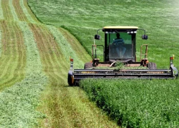 طرح توجیهی احداث فارم کشت یونجه
