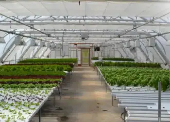 طرح توجیهی احداث گلخانه هیدروپونونیک