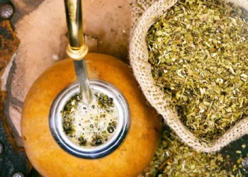 طرح توجیهی تولید چای ماته