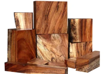 طرح توجیهی تولید چوب آبنوس