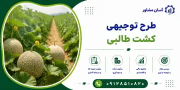 طرح تولید نخ فاستونی