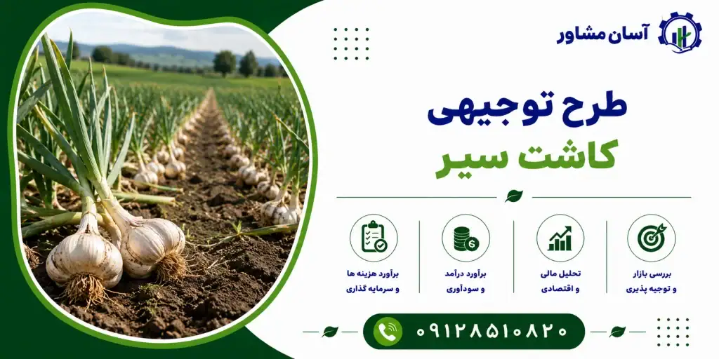 طرح تولید چست لید (چست الکترود)