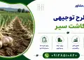 طرح تولید چست لید (چست الکترود)