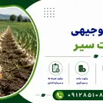 طرح تولید چست لید (چست الکترود)