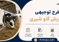 طرح پرورش گاو شیری