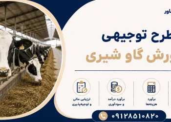 طرح پرورش گاو شیری